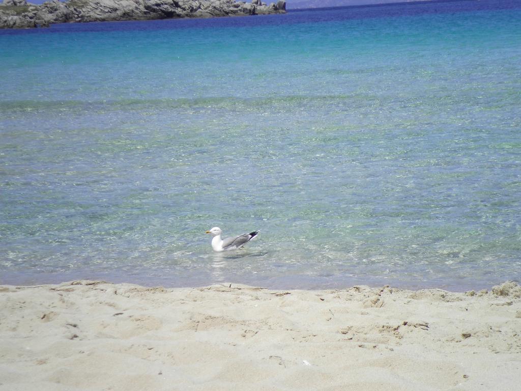مبيت وإفطار سانتا تيريزا غالّورا La Finestra Vista Corsica المظهر الخارجي الصورة
